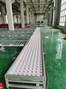 滾筒流水線(xiàn)